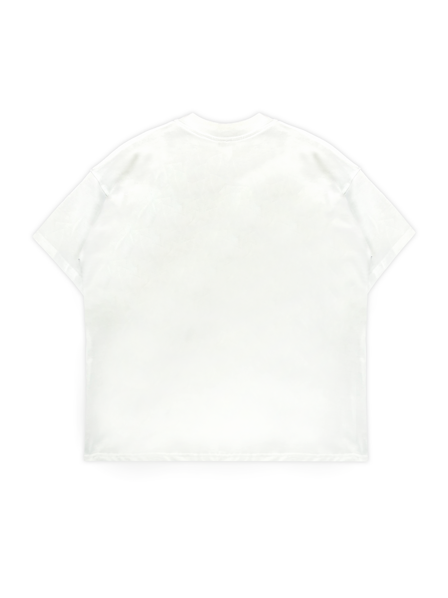 AUTHENTICUM WHITE TEE V2