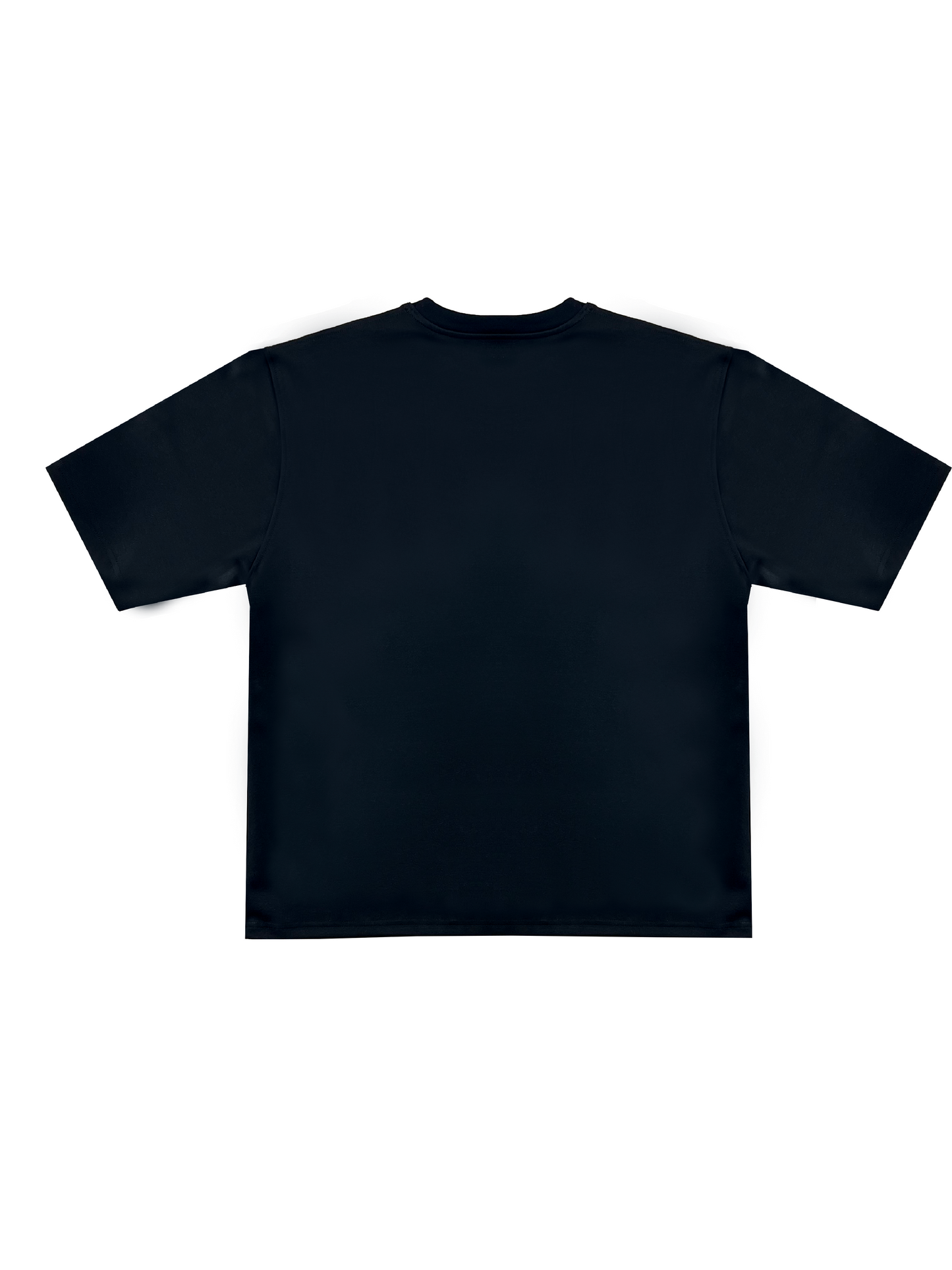 AUTHENTICUM TEE V2